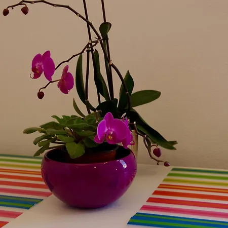 Hostel Hostel Humpolec