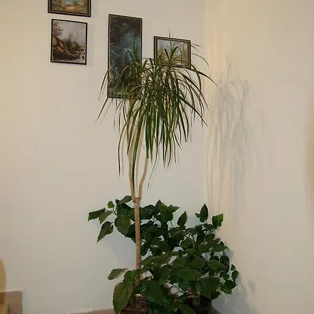 Hostel Humpolec Hostel *