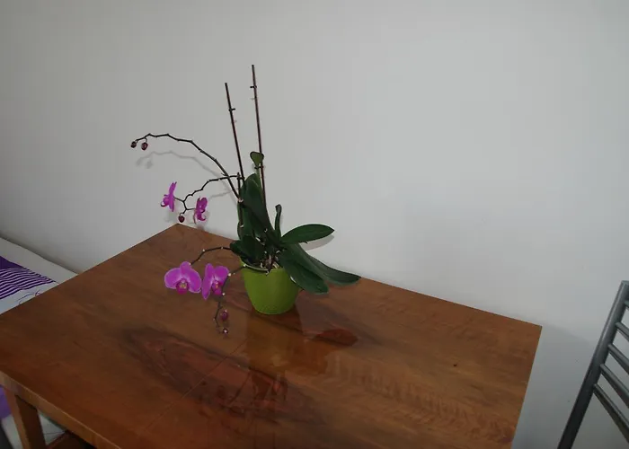 Hostel Humpolec Vandrerhjem *