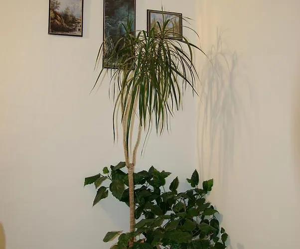 Hostel Humpolec Vandrerhjem *